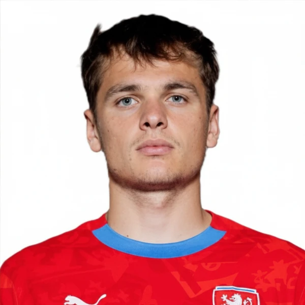 Denis Višinský